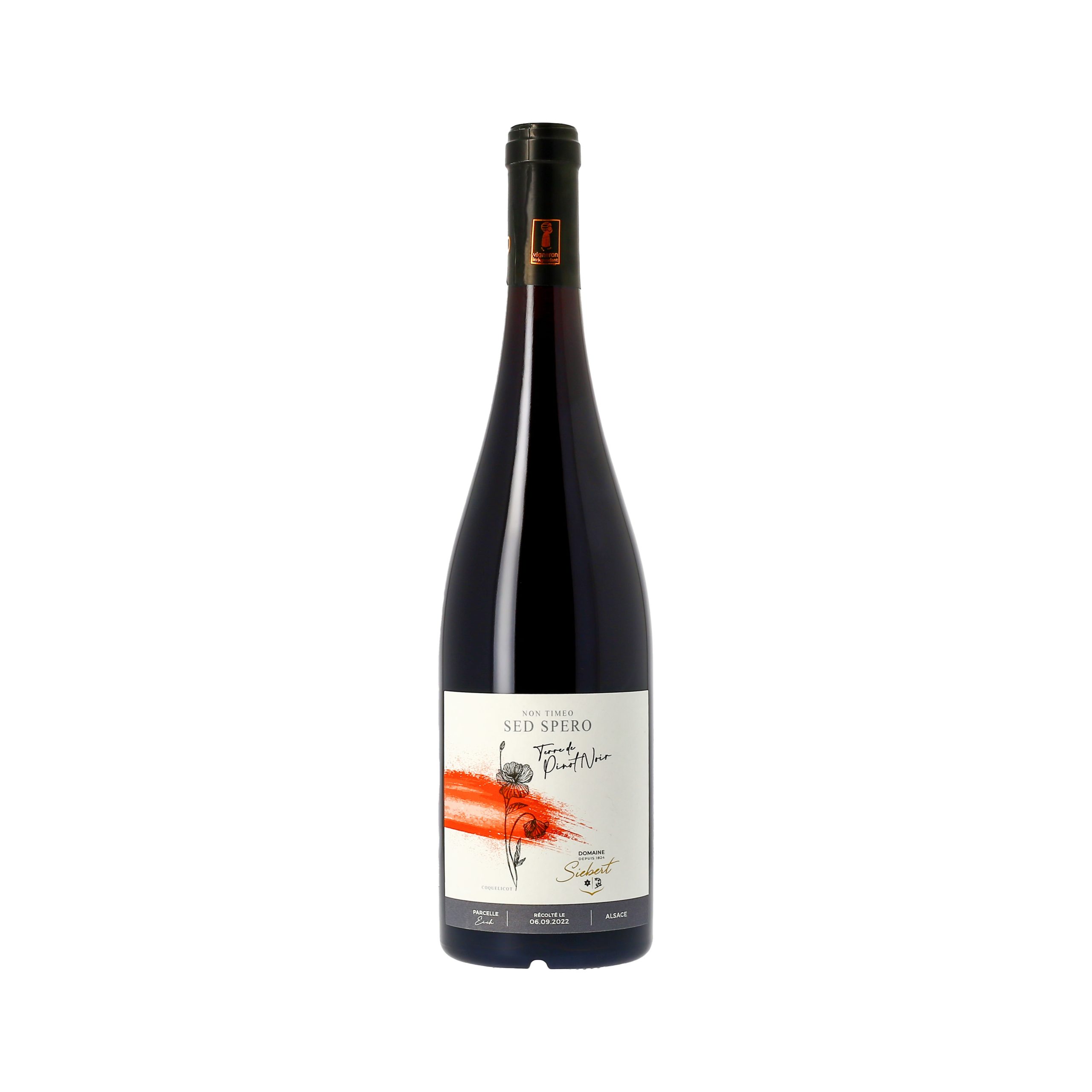 Terre de Pinot Noir – Red wine